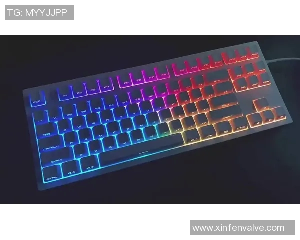CSGO玩家必看机械键盘推荐提升游戏体验与操作精准度