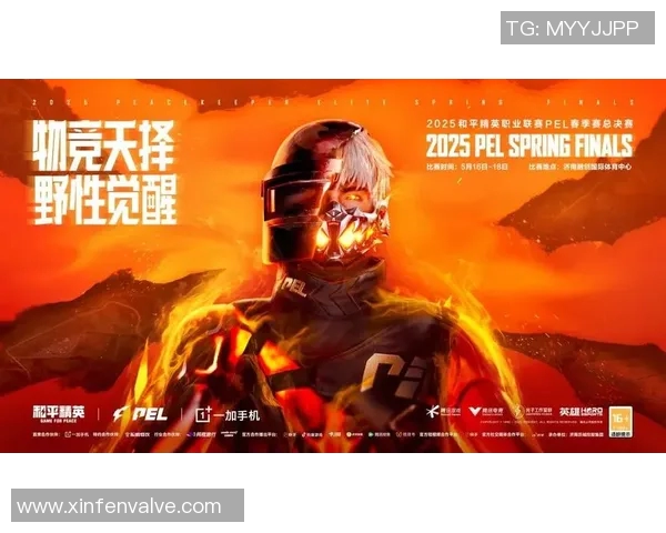 电竞数据深度解析周强的和平精英成长之路与人生感悟